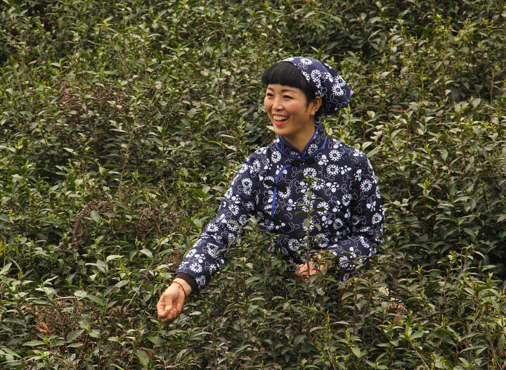 梦连直播热门4